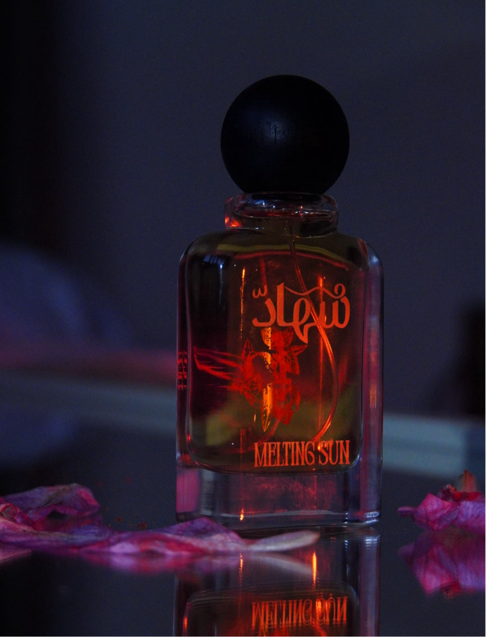 The Dusk Till Dawn Bundle